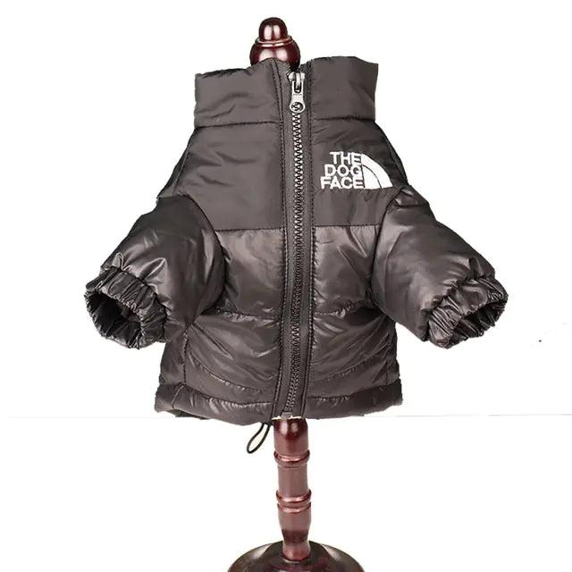 Windproof Jacket for Dogs - Premium Dog Clothes from Ida Louise Boutique - Just $30.46! Shop now at Ida Louise Boutique