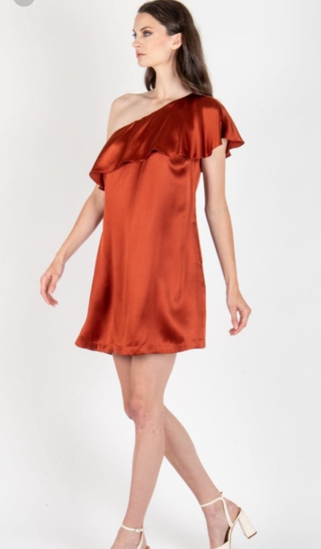 Secret Mission Silk Dress