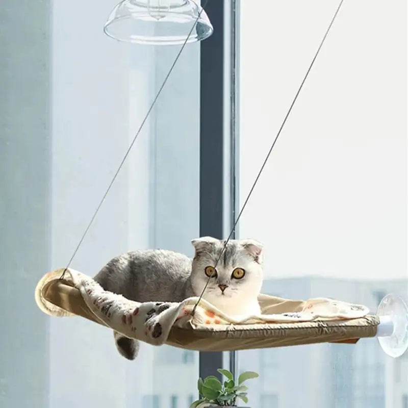 Suspended Bed for Pets - Premium Cat Bed from Ida Louise Boutique - Just $60! Shop now at Ida Louise Boutique