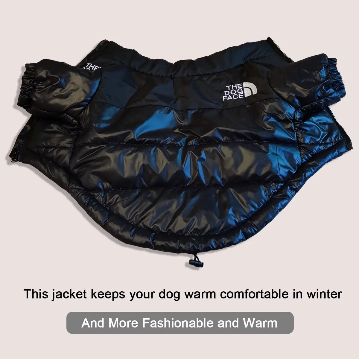 Windproof Jacket for Dogs - Premium Dog Clothes from Ida Louise Boutique - Just $30.46! Shop now at Ida Louise Boutique