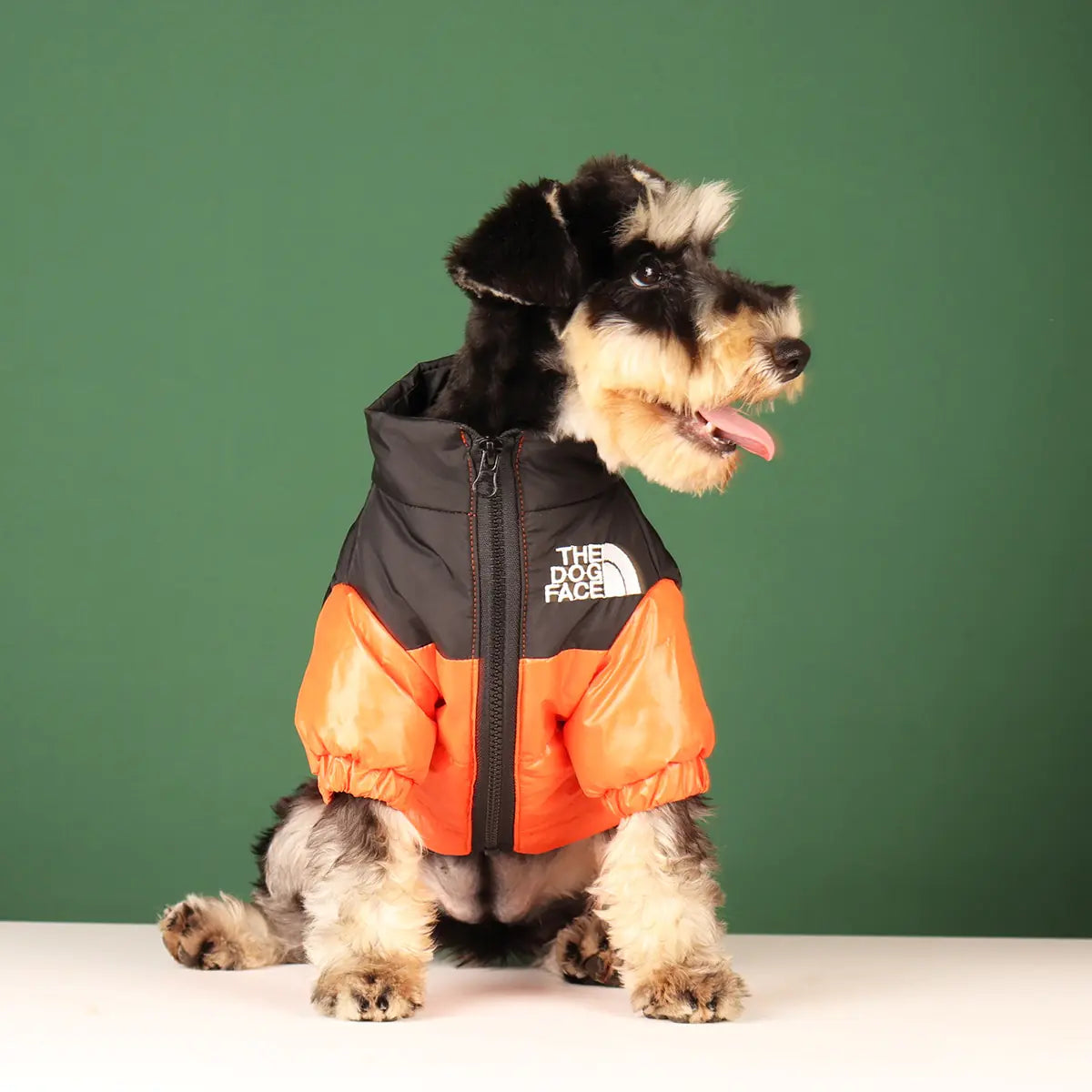 Windproof Jacket for Dogs - Premium Dog Clothes from Ida Louise Boutique - Just $30.46! Shop now at Ida Louise Boutique