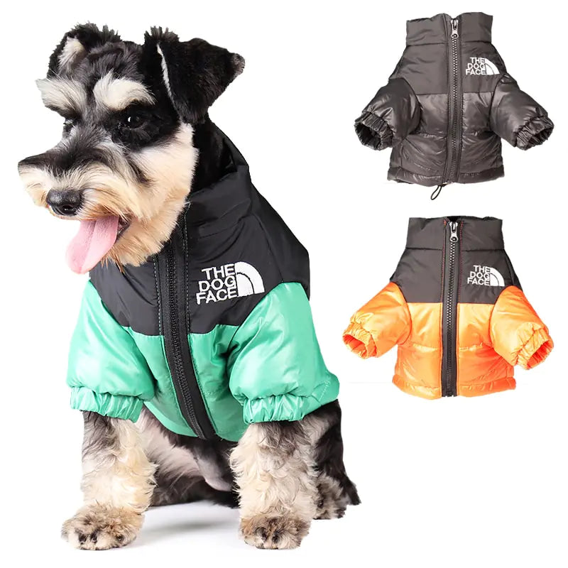 Windproof Jacket for Dogs - Premium Dog Clothes from Ida Louise Boutique - Just $30.46! Shop now at Ida Louise Boutique