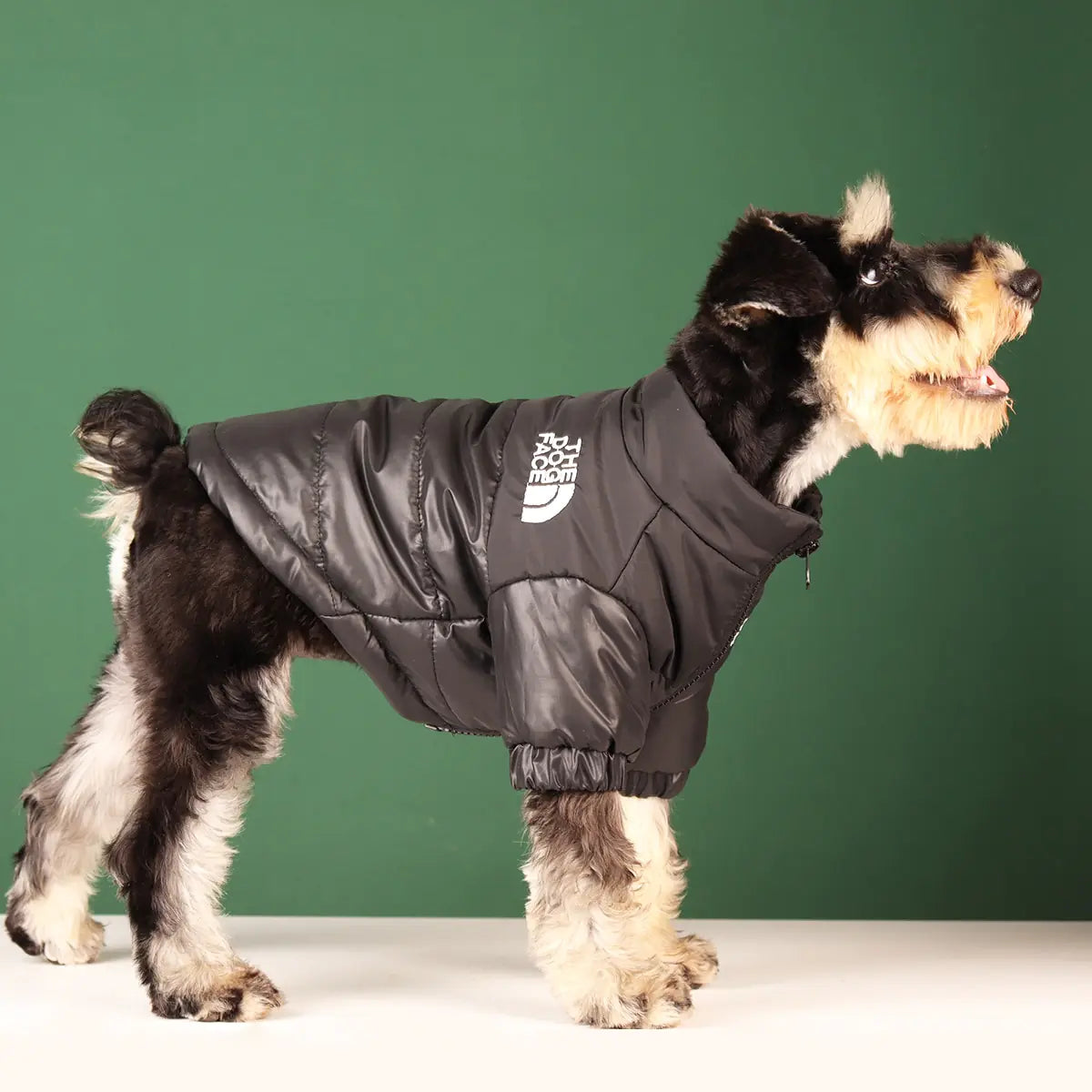 Windproof Jacket for Dogs - Premium Dog Clothes from Ida Louise Boutique - Just $30.46! Shop now at Ida Louise Boutique