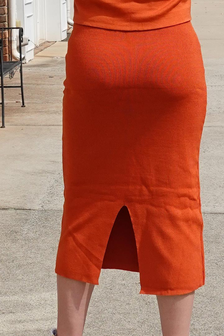 Ribbed Skirt & Long Sleeve Crop